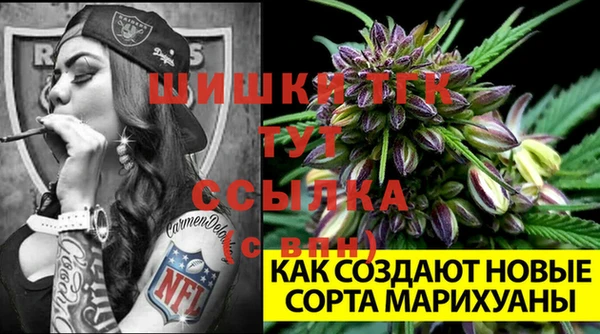 мет Осташков