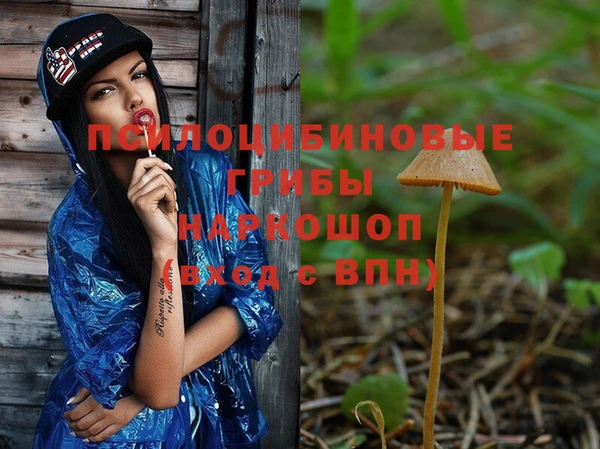 мет Осташков