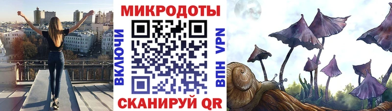 закладки  Балабаново  Галлюциногенные грибы GOLDEN TEACHER 