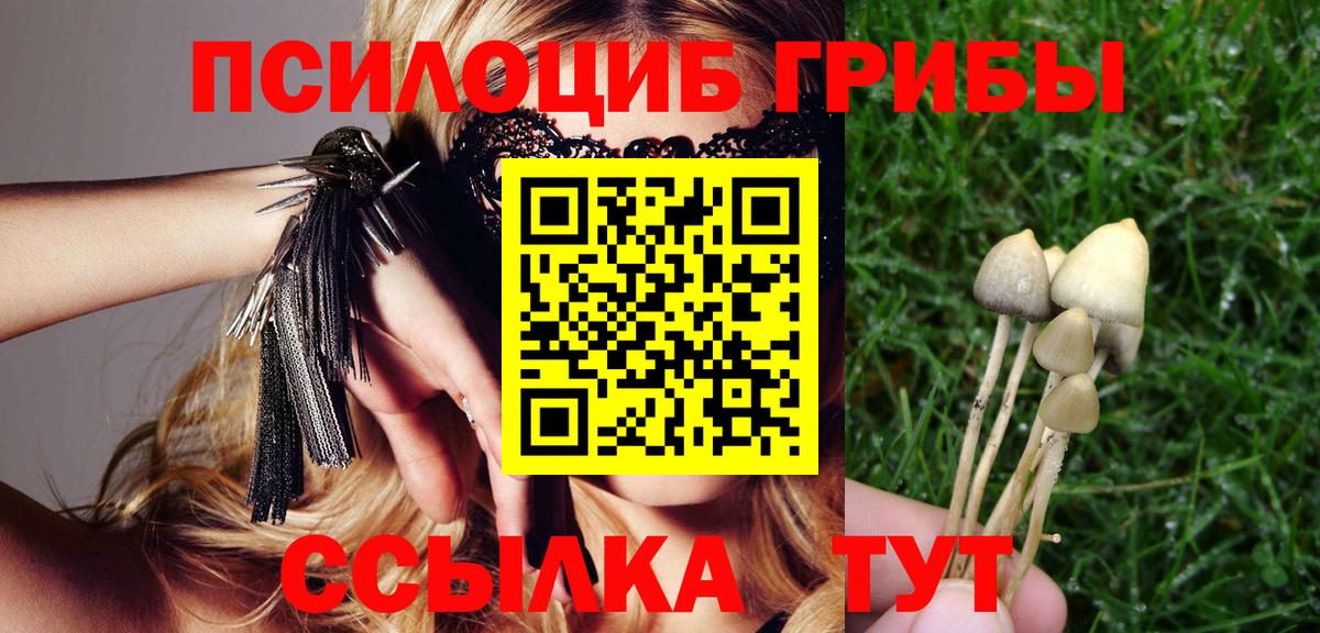 Псилоцибиновые грибы мицелий  Вход с VPN  Псилоцибиновые грибы мухоморы  Балабаново 
