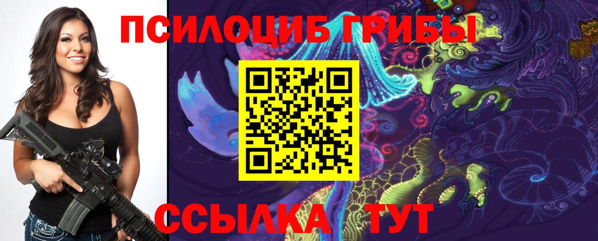 Псилоцибиновые грибы Psilocybine cubensis Балабаново