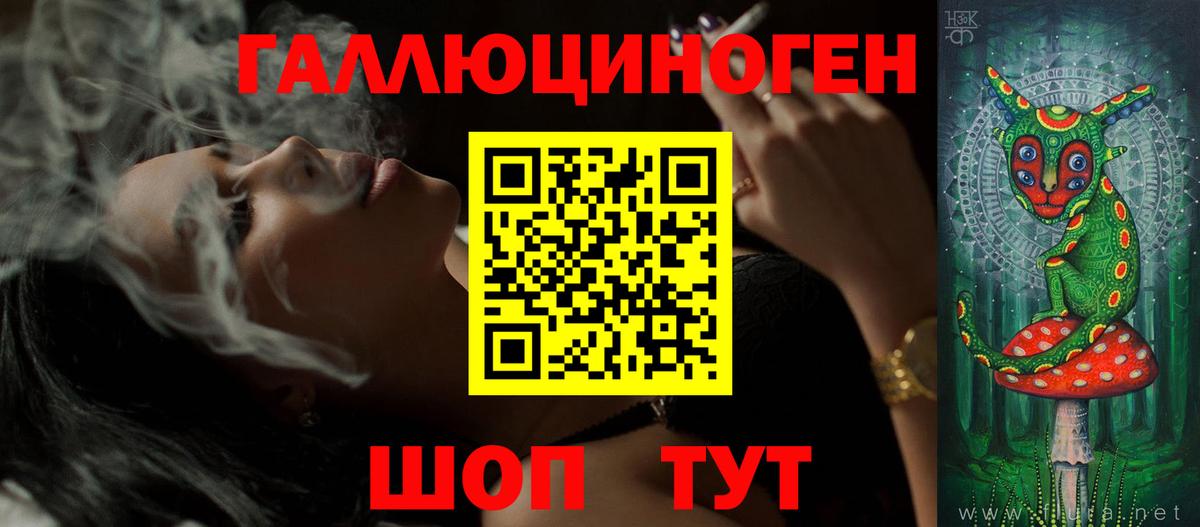 Галлюциногенные грибы Psilocybe Балабаново